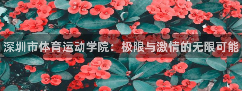 注册米兰体育官方正版app：深圳市体育运动学院：极限