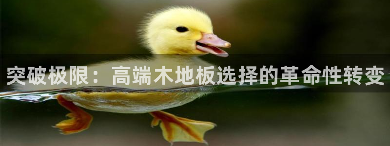 米兰体育官网下载平台是正规平台吗：突破极限：高端木地