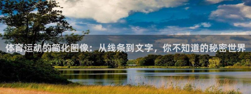 米兰体育官网下载平台是正规平台吗安全吗：体育运动的简化图像：