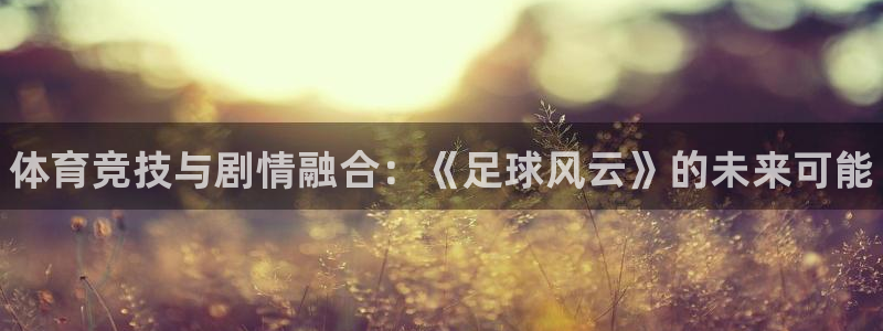 米兰体育官网下载招商电话是多少啊：体育竞技与剧情融合：《足球