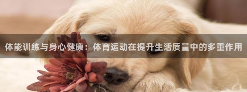 米兰体育官网下载招商电话号码是多少啊：体能训练与身心健康：体
