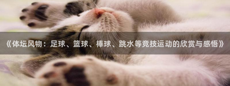 米兰体育官方正版app娱乐首页网站大全