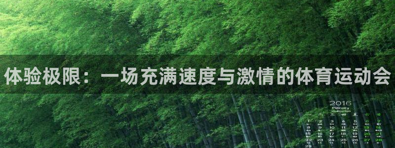米兰体育官方正版app神州：体验极限：一场充满速度与