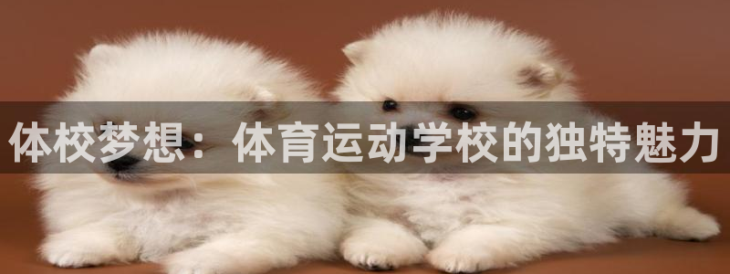 米兰体育官方正版app娱乐代理怎么样：体校梦想：体育