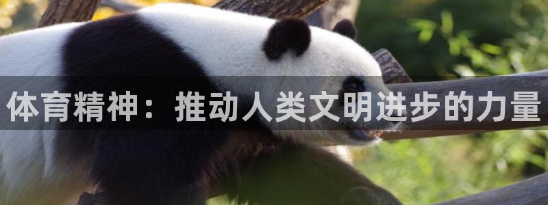 米兰体育官方正版app娱乐代理怎么样：体育精神：推动