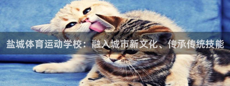 米兰体育官网下载平台注册要钱吗安全吗：盐城体育运动学