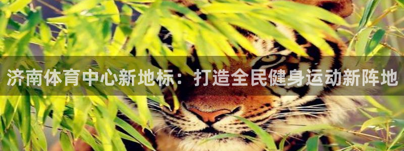 米兰体育官方正版app娱乐40996：济南体育中心新