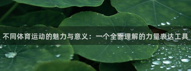 米兰体育官方正版app娱乐：不同体育运动的魅力与意义