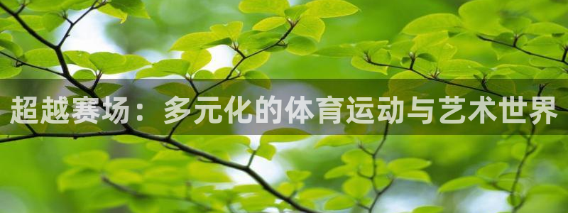 米兰体育官网下载招商电话号码是多少号：超越赛场：多元