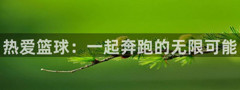 米兰体育官网下载招商电话号码查询：热爱篮球：一起奔跑