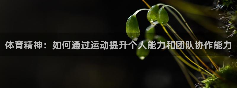 米兰体育官网下载平台是正规平台吗安全吗：体育精神：如