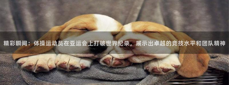 米兰体育官方正版app娱乐代理怎么样：精彩瞬间：体操运动员在