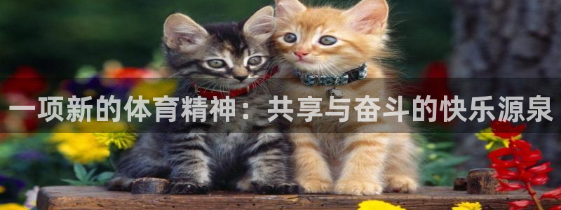 米兰体育官网下载软件：一项新的体育精神：共享与奋斗的快乐源泉
