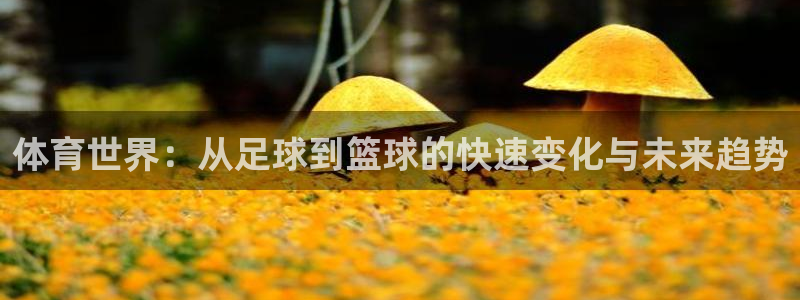 米兰体育官网下载招商电话号码查询是多少：体育世界：从