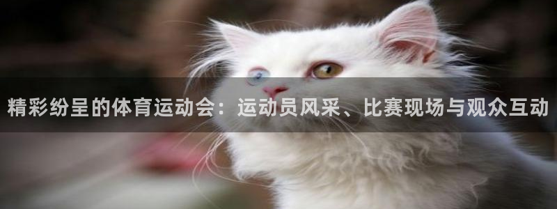 米兰体育官网下载平台：精彩纷呈的体育运动会：运动员风