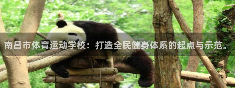 米兰体育官网下载招商电话是多少号码：南昌市体育运动学