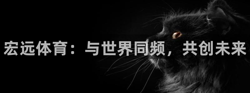 米兰体育怎么取款：宏远体育：与世界同