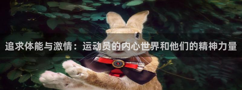 米兰体育是正规平台吗安全吗：追求体能