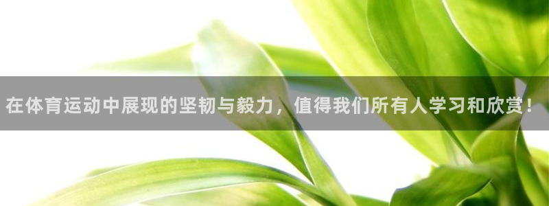 米兰体育免费观看网址是多少：在体育运动中展现的坚韧与毅力，值