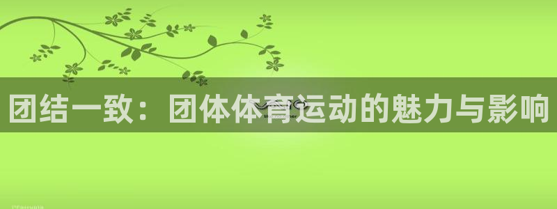 米兰体育场建设计划：团结一致：团体体育运动的魅力与影响