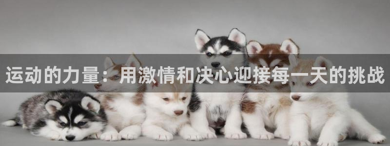  米兰体育平台：运动的力量：用激情和决心迎接每一天的挑战