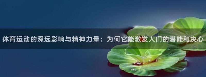 米兰体育与瓦伦西亚合作项目：体育运动