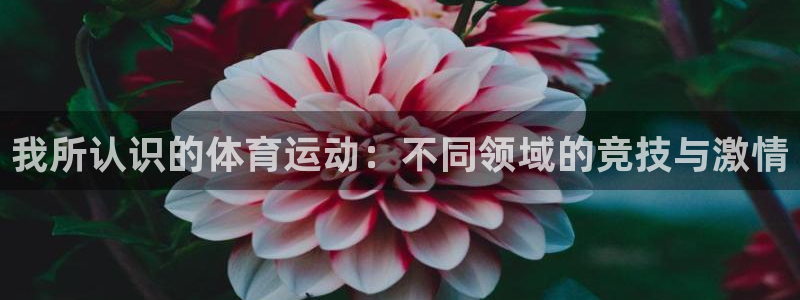 米兰体育正规吗?：我所认识的体育运动：不同领域的竞技与激情