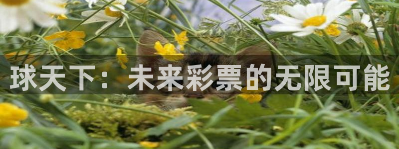 广西小九今天视频播放