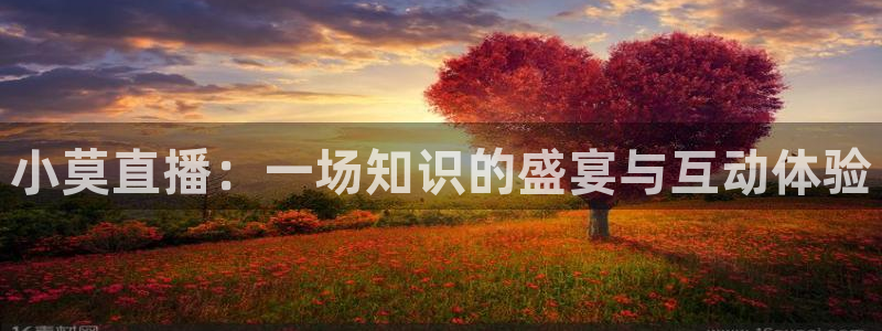 小九篮球直播在线观看：小莫直播：一场知识的盛宴与互动体验