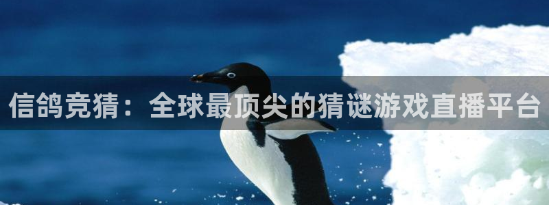小九体育直播官网：信鸽竞猜：全球最顶尖的猜谜游戏直播平台